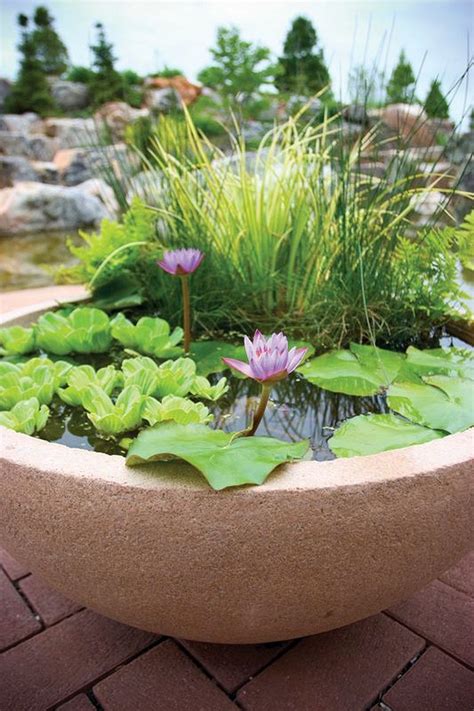 Diy Mini Ponds In A Pot 21 Container Pond Container Water Gardens