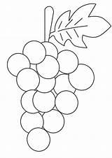 Coloring Grapes Bunch Grape Fill sketch template
