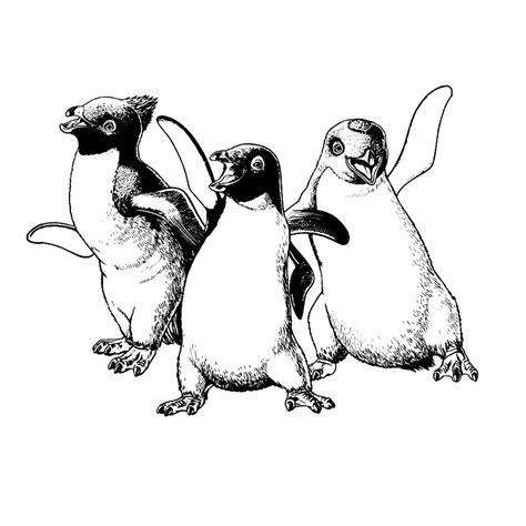 Happy Feet kleurplaten → Leuk voor kids