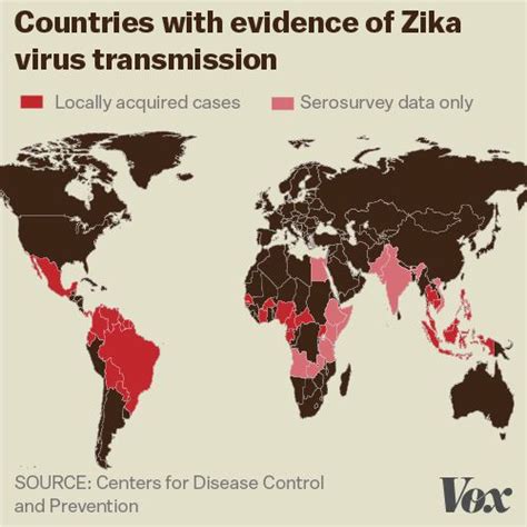 The Rare Birth Defect Thats Triggering Panic Over The Zika Virus