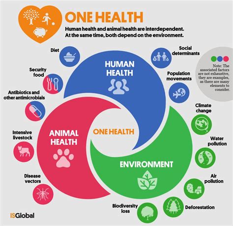What Is The “one Health” Approach Labeuropa