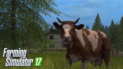 Cows or cattle are one of the three types of animals available in farming simulator 17. Farming Simulator 17 mods animals - FS17 mods
