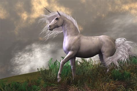 Realistic Unicorn Wallpapers Top Free Realistic Unicorn Backgrounds