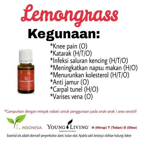 Find great deals on ebay for young living abundance. Lemongrass single oil#kegunaan lemongrass #lemongrass ...