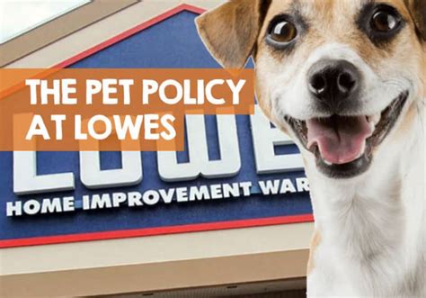 To find out, i spoke with some past and present employees to find out why the lowes dog friendly policy is different depending on where you are. Does Lowes Allow Dogs? Lowes Pet Policy is Confusing!