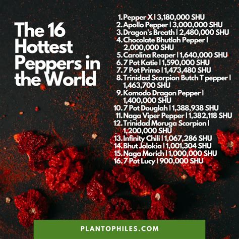 Top 16 Hottest Peppers In The World Updated 2023