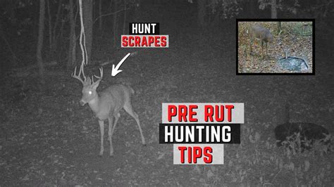 Late October Whitetail Hunting Strategy Hunting The Pre Rut Youtube