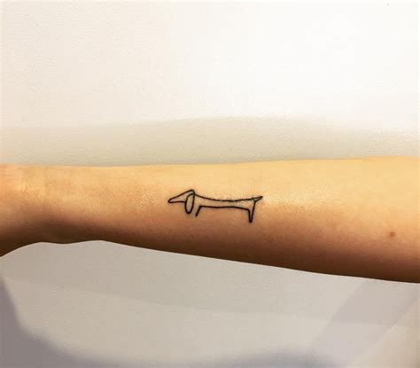 Dachshunds are famous and beloved around the world because they are so lovely, brave and especially they are very loyal to their owners. My Girlfriends Dachshund Tattoo - Picasso's 'Lump' : Dachshund