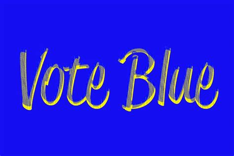 vote blue i chose that even against my self interest christy thomas