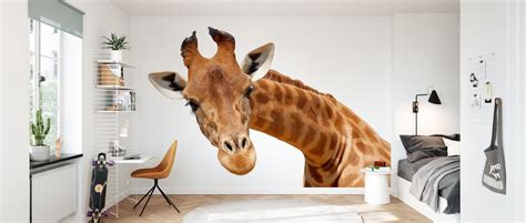 Giraffe High Quality Wall Murals With Free Uk Delivery Photowall