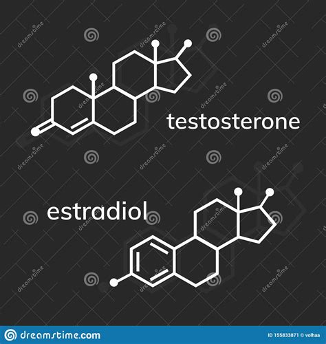 Testosterone And Estradiol Chemical Formulas Stock Vector Illustration Of Vector Estradiol