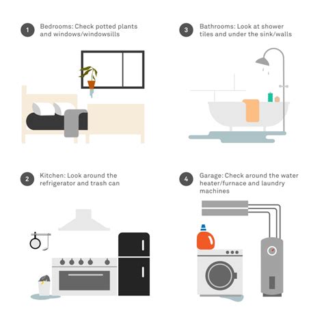 How To Get Rid Of Musty Smells From Home And Clothes Molekule Blog
