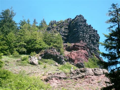 Casing Oregon Wildflower Hikes Iron Mountain