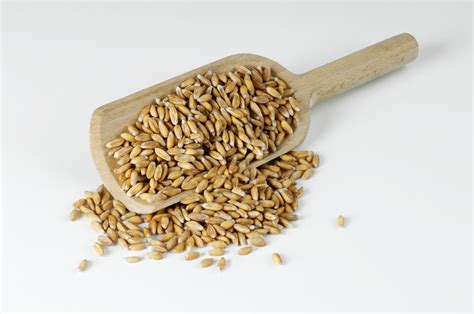 Ancient Grains The Resurgence Of Heirloom Wheat In The Usa Lifegate