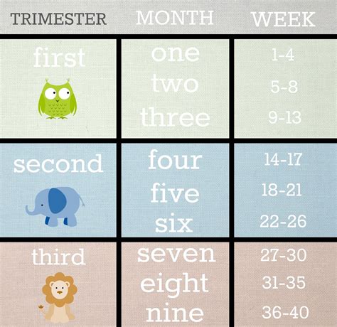 Pregnancy Calendar Weeks To Months