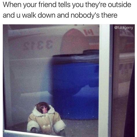 29 Animal Memes That Are Guaranteed To Make You Giggle I Can Has