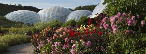 New Eden Project Eco Tourism Attractions From China To The Uk Blooloop