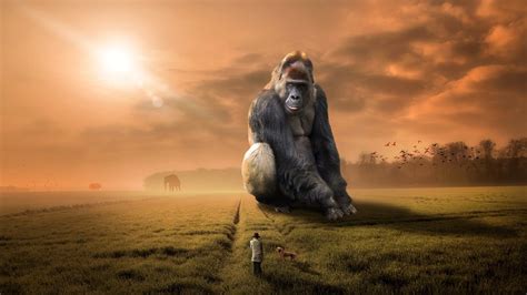 Giant Gorilla 4k Ultra Hd Wallpaper Background Image 3840x2160 Id