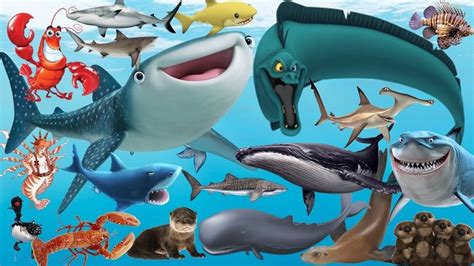 Learn Sea Animals New Disney Pixar Finding Dory Nemo And Shark Name