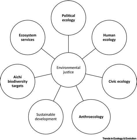 Overcoming Blind Spots To Promote Environmental Justice Research