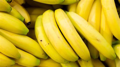 First Genetically Modified Banana Could Save The Main Species From
