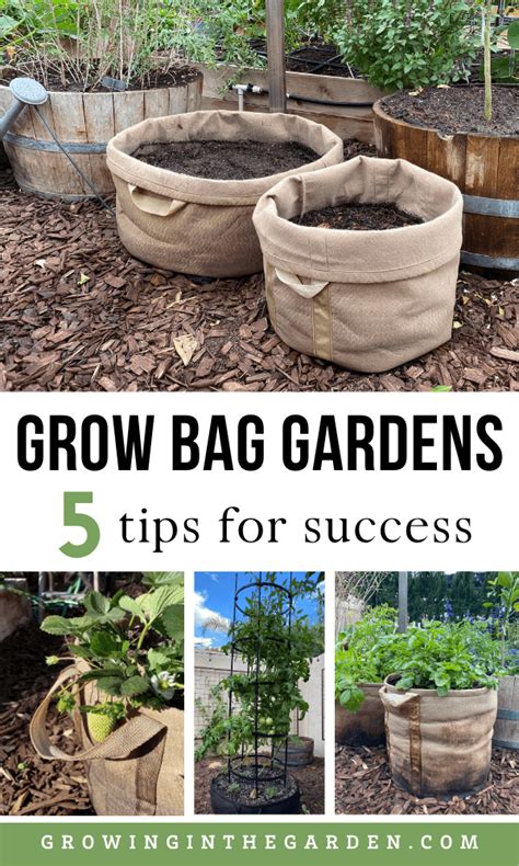 Gardening In Grow Bags 5 Tips For Success Growing In The Garden