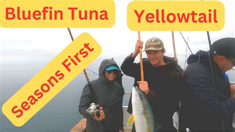 Part 2 Bluefin Tuna Yellowtail Fishing Diawa Pacific H M Landing San