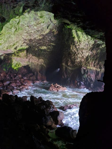 Cavern At Sea Lion Caves Florence Oregon Coast 2 2traveldads