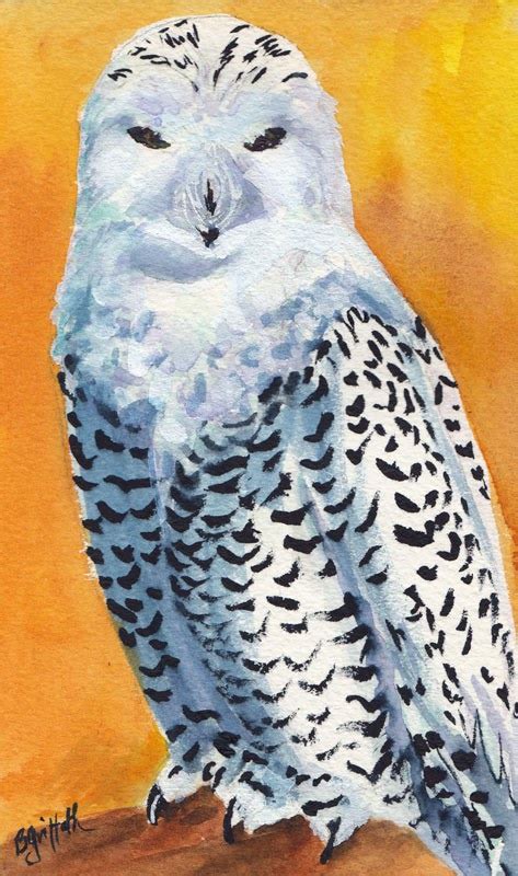 Snowy Owl Watercolor Painting