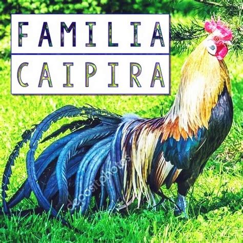 Familia Caipira YouTube