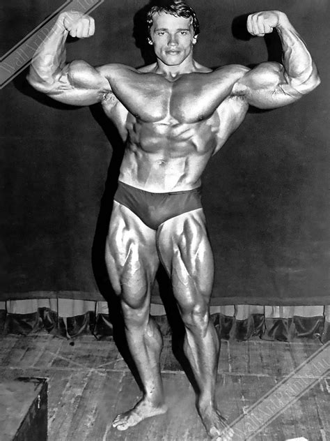 arnold schwarzenegger poster double biceps famous pose vintage photo portrait arnold