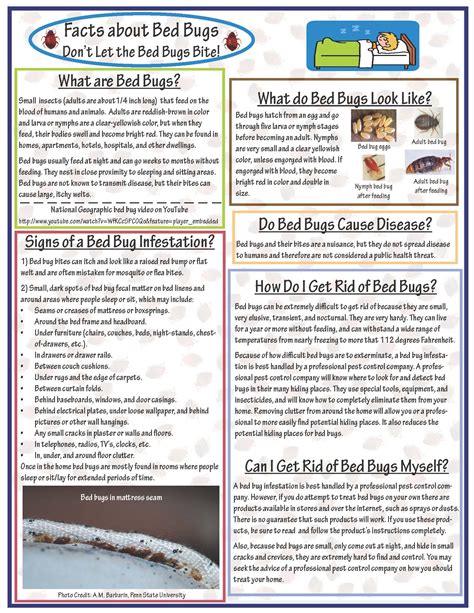 Facts About Bed Bugs Tooele County Health Department