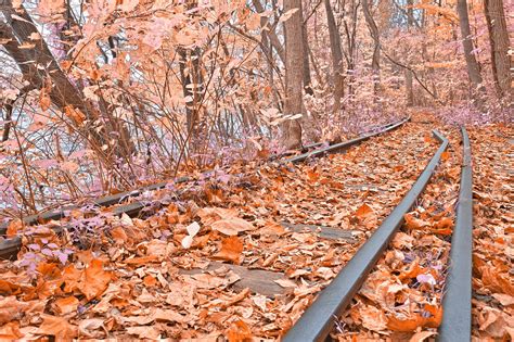 Abandoned Autumn Railroad Fantasy Express By Somadjinn On Deviantart