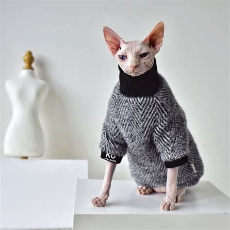 Sphynx Cat Turtleneck Cat Turtleneck Sweater Hairless Cat Turtleneck