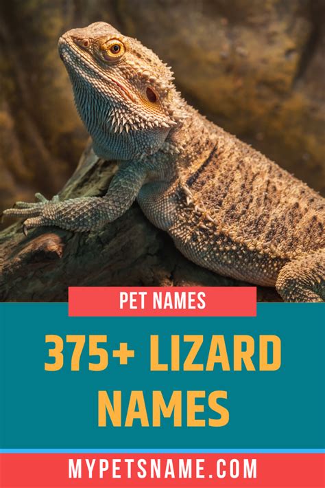 Lizard Names Lizard Names Cute Pet Names Cute Animal Names