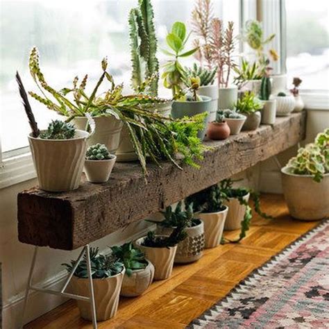 37 Diy Indoor Plant Display Ideas