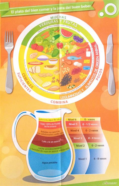 El Plato Del Bien Comer Esquemas Y Mapas Conceptuales De Nutricion Images