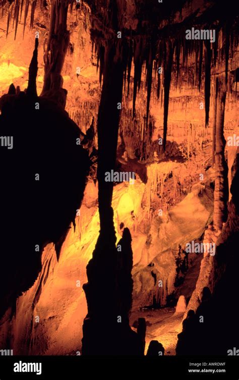 Stalactites Stalagmites And Columns Inside Lehman Cave Great Basin