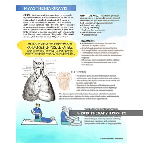 Handout Myasthenia Gravis Myasthenia Gravis Speech Therapy Tools