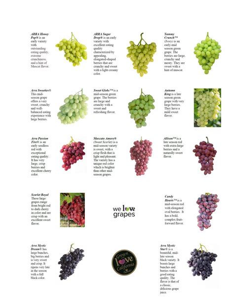 Giumarra Table Grape Varieties — Grapes From Giumarra Vineyards