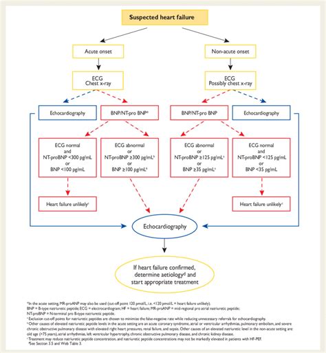 Flow Chart For The Diagnosis Of Heart Failure Adapted From Sexiezpicz Web Porn