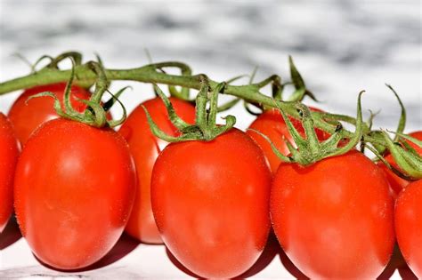 Plenty Types Of Tomatoes From Cherry Tomatoes To Beefsteak Tomatoes