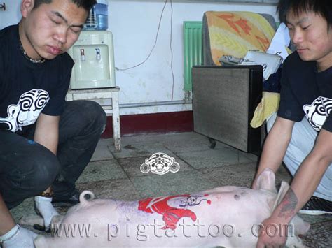 PIG TATTOO - Gallery | eBaum's World
