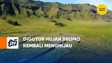 Diguyur Hujan Bromo Kembali Menghijau YouTube