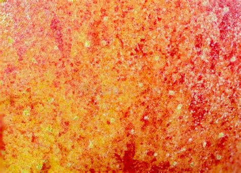 512 Red Apple Skin Texture Photos Free And Royalty Free Stock Photos