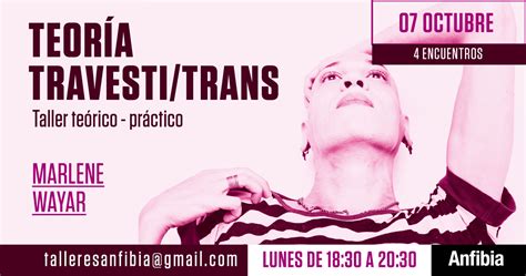teoría travesti trans taller teórico práctico revista anfibia