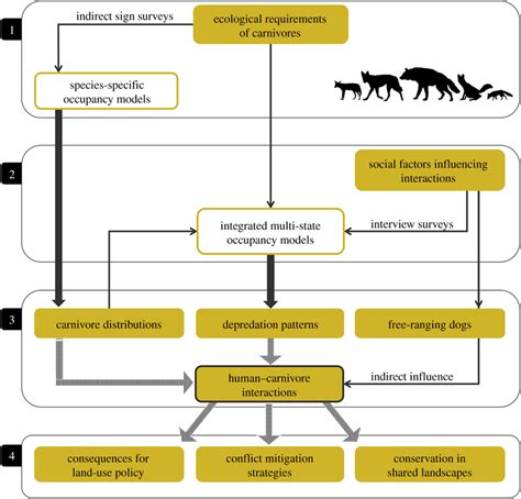 An Integrated Socio Ecological Framework To Examine Humancarnivore Download Scientific Diagram
