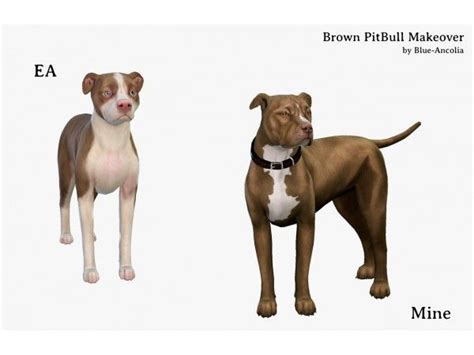 Brown Pitbull Makeover First Version By Blue Ancolia The Sims 4