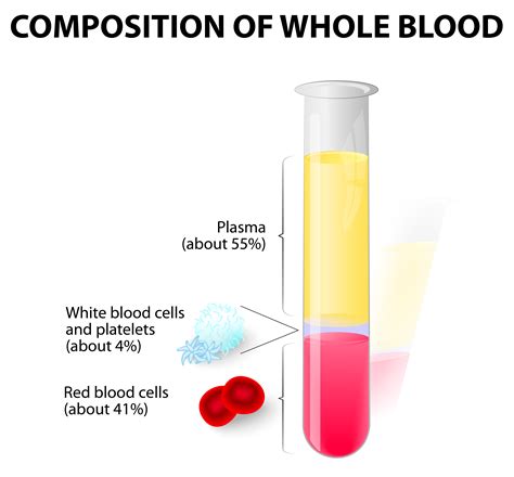 Blood Plasma And Formed Elements In Test Tube Md Monthly Todays