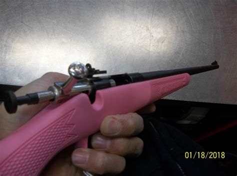 Crickett Firearms My First Rifle Pink 22lr 22 Lr For Sale At